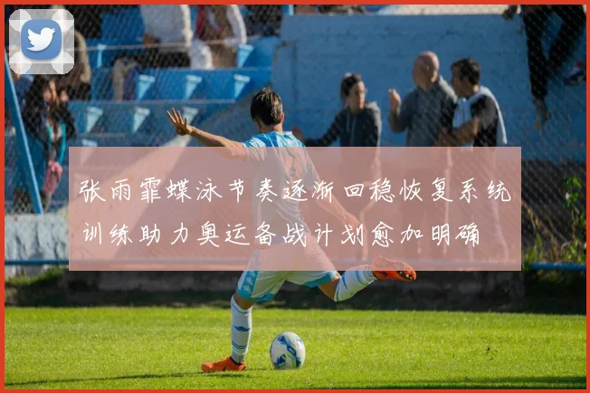张雨霏蝶泳节奏逐渐回稳恢复系统训练助力奥运备战计划愈加明确