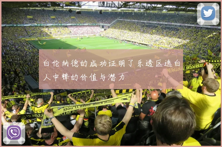 白伦纳德的成功证明了乐透区选白人中锋的价值与潜力